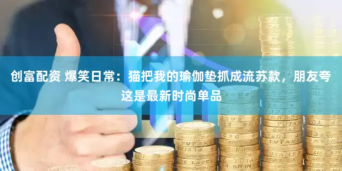 创富配资 爆笑日常:猫把我的瑜伽垫抓成流苏款,朋友夸这是最新时尚单品